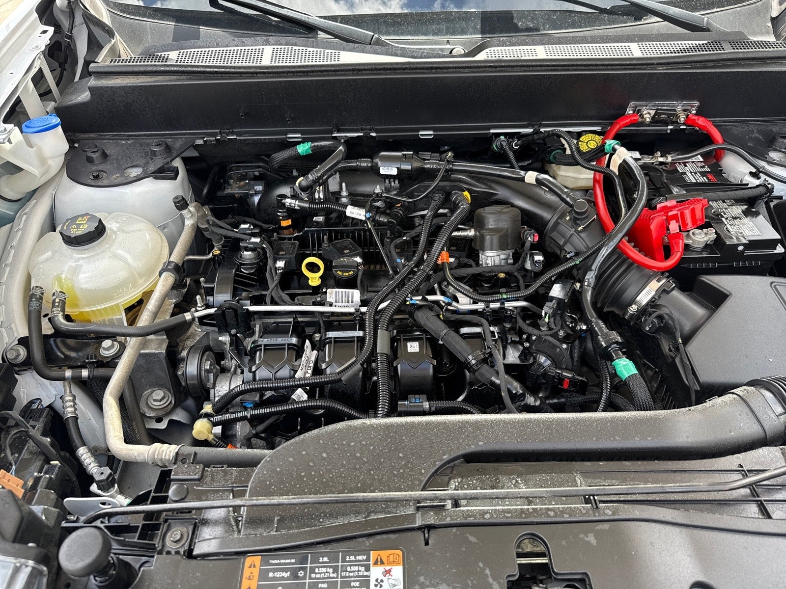 2024 Ford Maverick XLT FWD SuperCrew