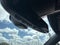 2024 Volkswagen Tiguan 2.0T SE R-Line Black FWD
