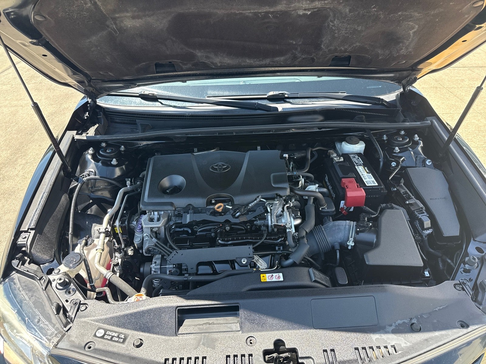 2019 Toyota Camry SE Auto (Natl)