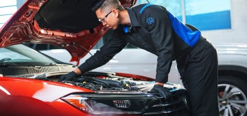 Dignifi | Southwest Volkswagen in Lafayette LA